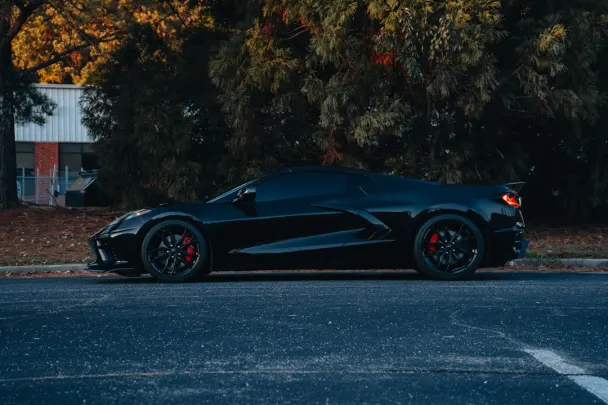 Kasino Sticky Wilds Android/iOS Sovellus